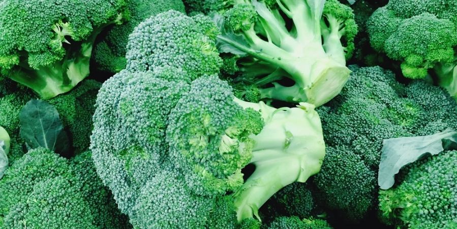 Hier-heb-je-8-redenen-om-nog-vaker-broccoli-te-eten_img900.jpg