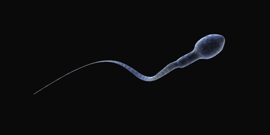 Zeven-dingen-die-je-doet-die-slecht-zijn-voor-je-sperma_img900.jpg