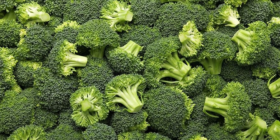 Dokter-Broccoli-is-verreweg-de-beste-keuze-qua-groente_img900.jpg