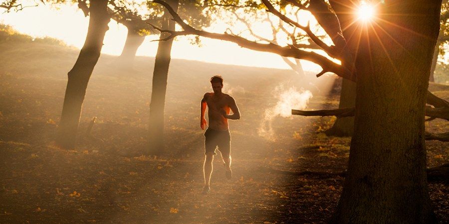 Dit-is-het-effect-van-een-maand-lang-zonder-rust-trainen_img900.jpg