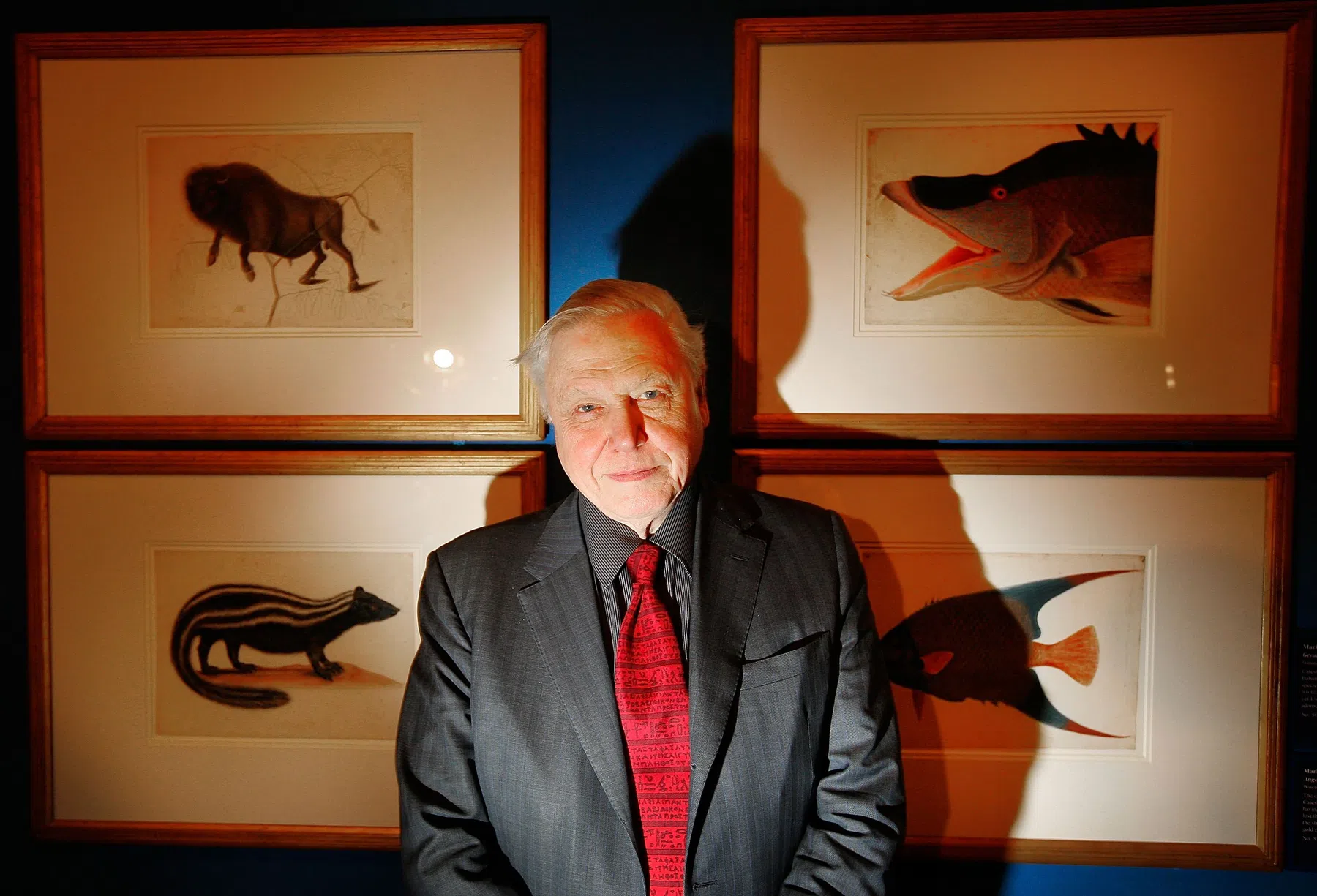 gettyimages-80228841.jpg