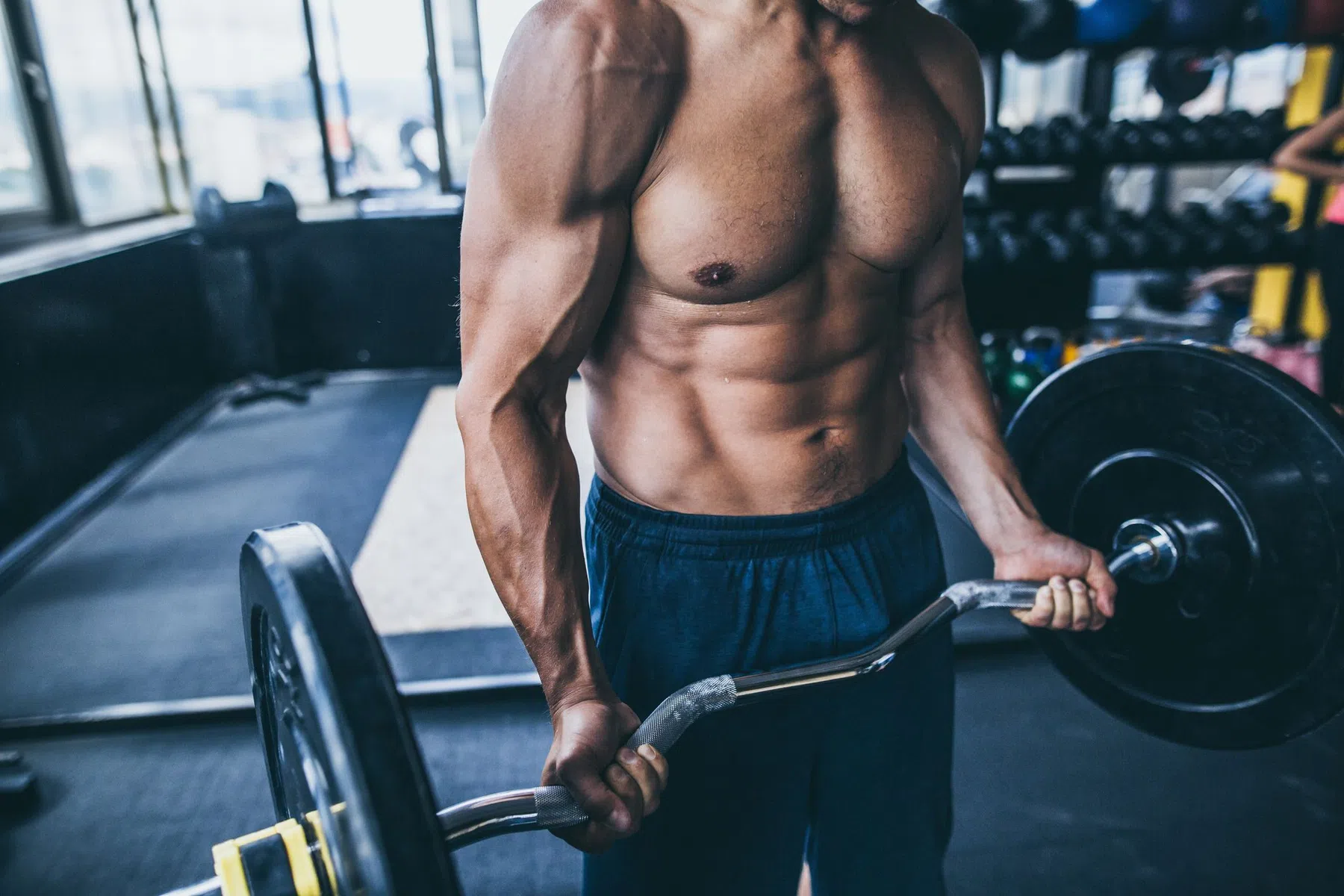 ez bar bicep curl