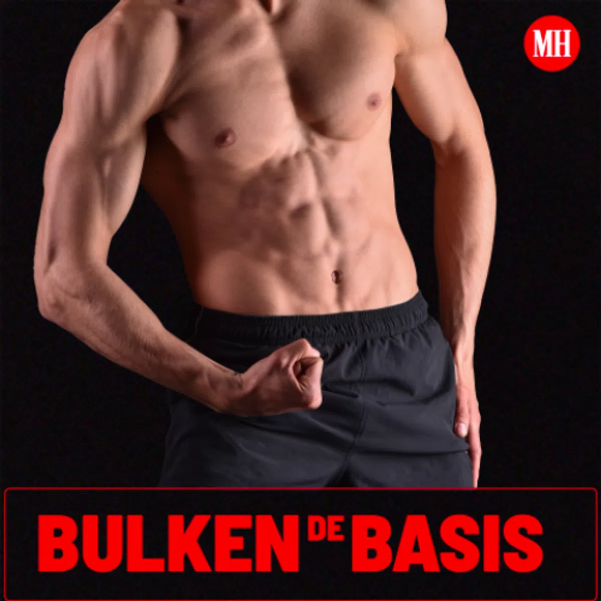 Ondersteunend beeld bij het artikel