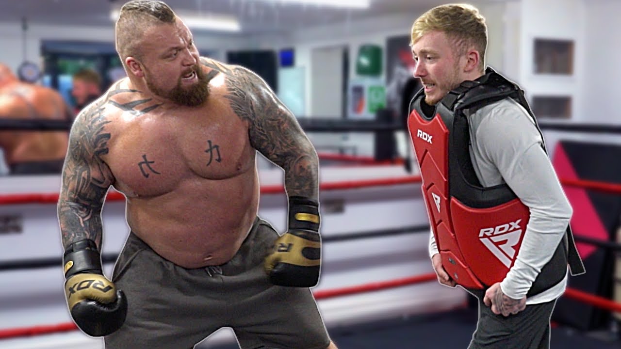 Welke strongman slaat harder, Eddie Hall of Thor Björnsson?