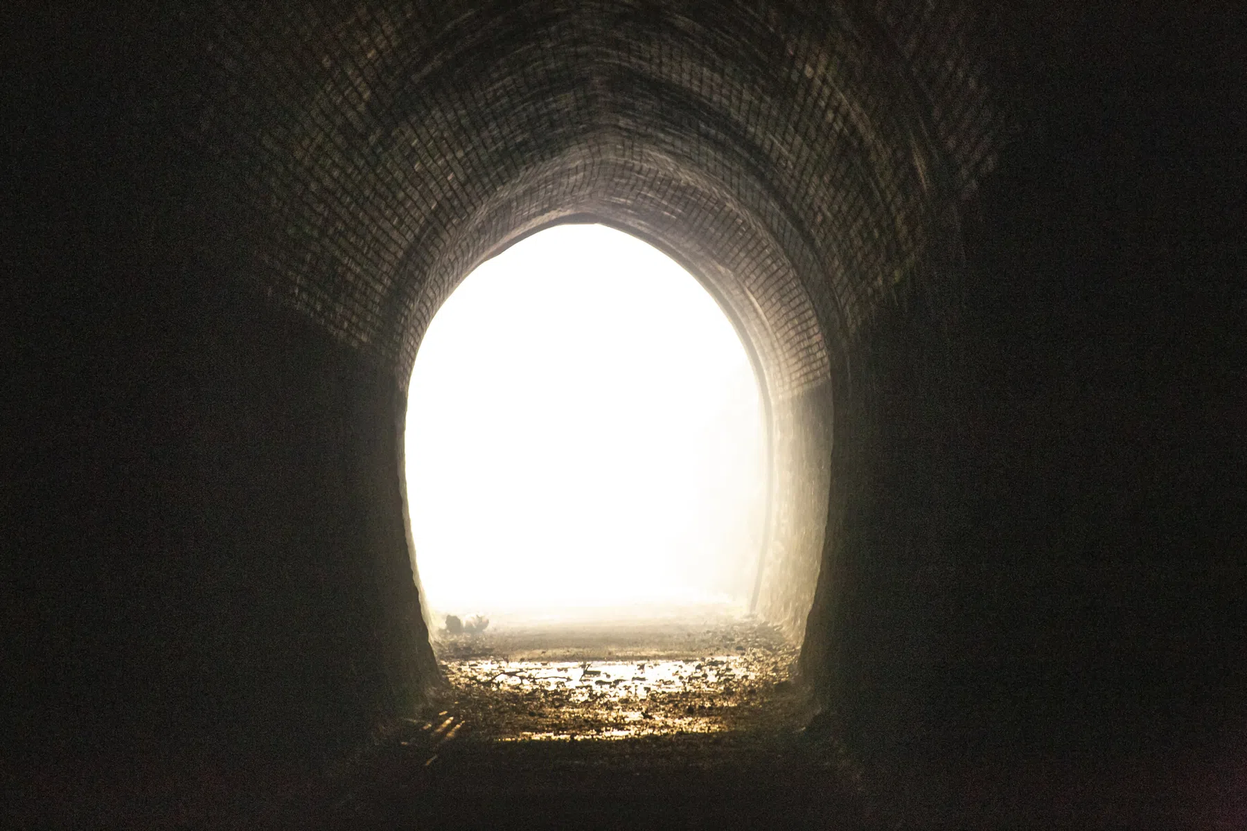 Is er leven na de dood? Ja, in je hersenen, om precies te zijn