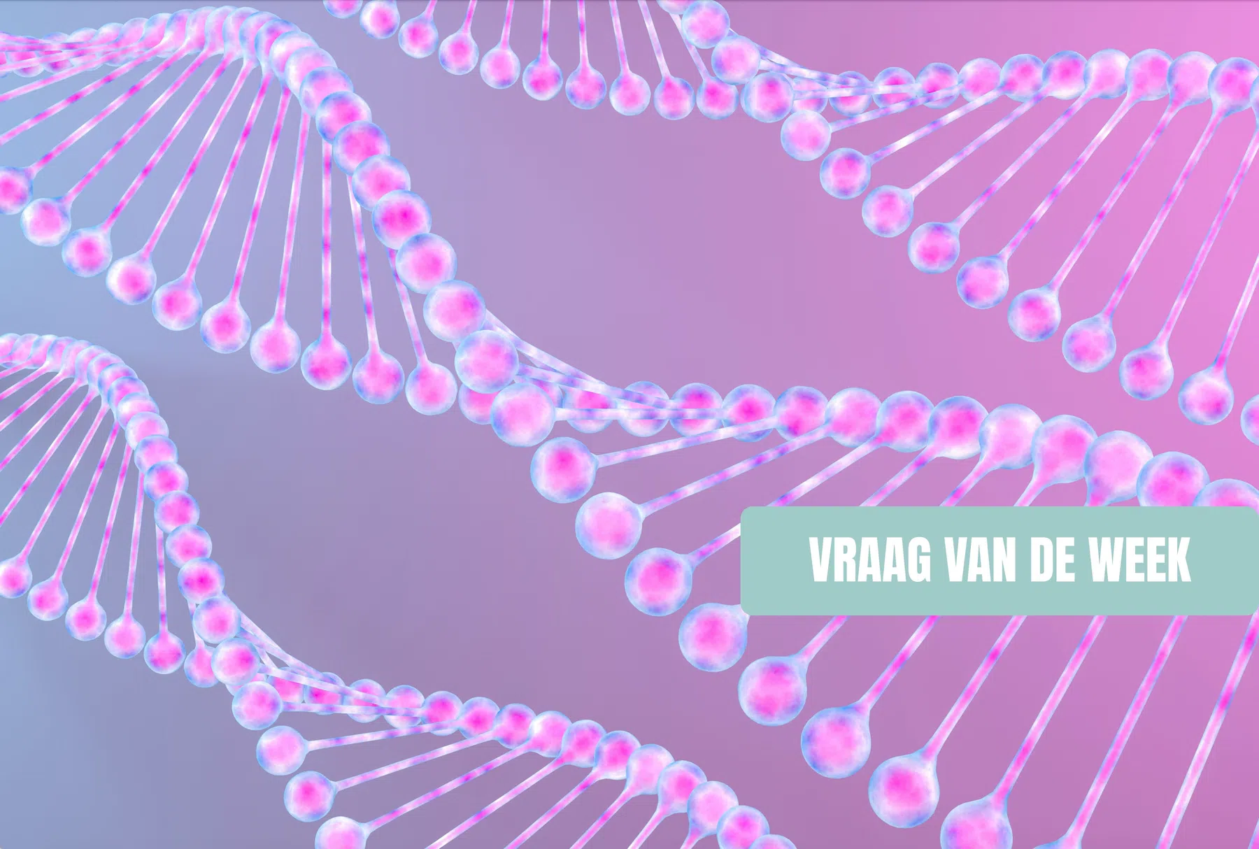 Bepaalt je DNA of je aanleg hebt om breed te worden?