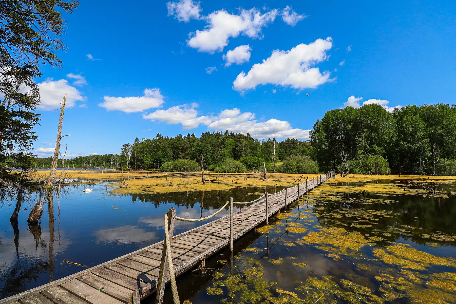 Op doktersrecept naar Zweden? Straks kan het!