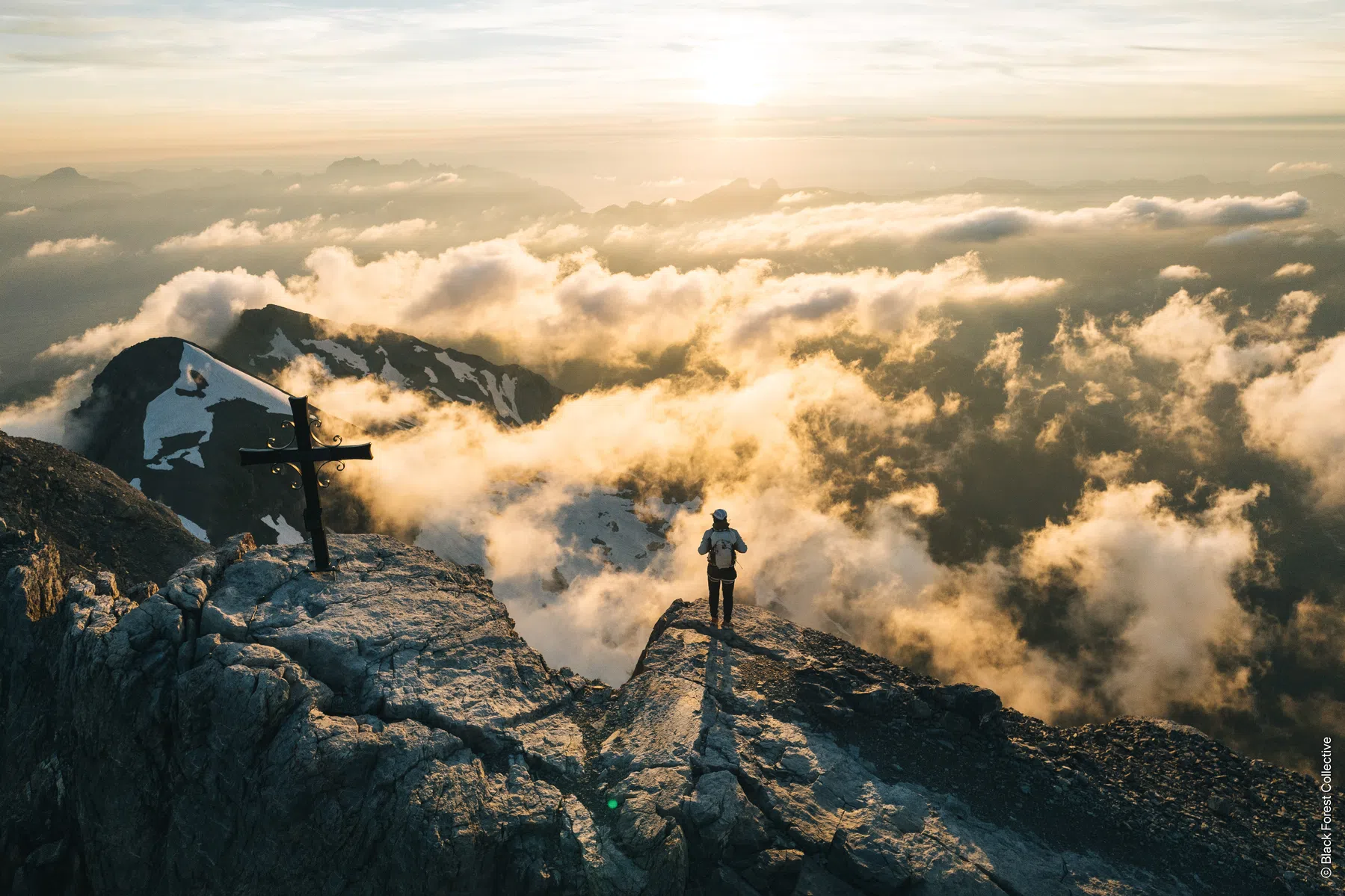 Black Forest Collective