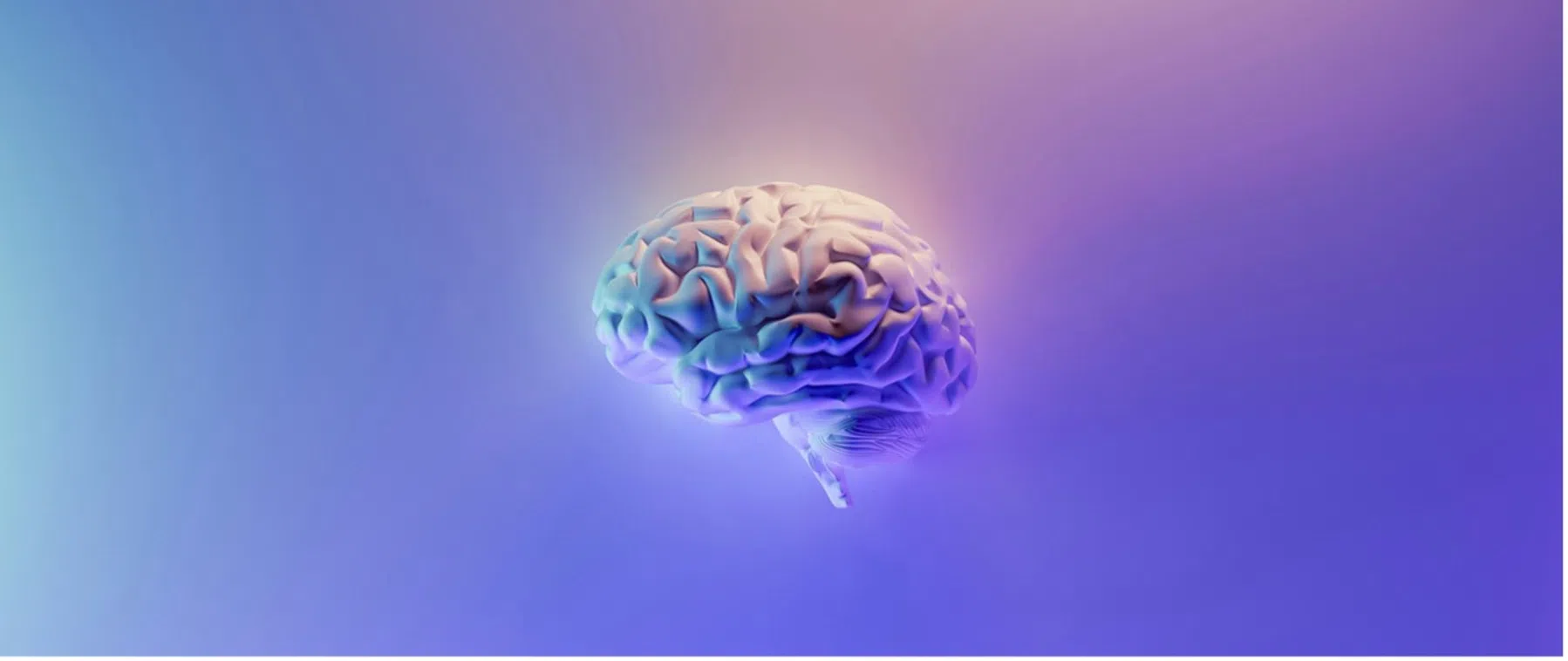 ©Milad Fakurian; Unsplash