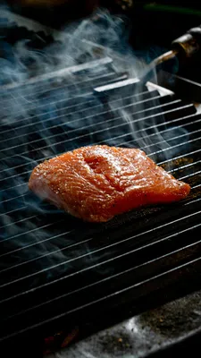 Thumbnail for article: Niet alle zalm is gezond: waarom kweekzalm soms 6x meer vet bevat dan wilde zalm