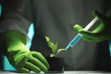 Thumbnail for article: Natuurlijke oplossing tegen hoog cholesterol? De wetenschap over plantensterolen