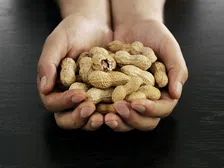 Thumbnail for article: Deze 6 noten zitten bomvol eiwitten: en de nummer 1 is verrassend goedkoop